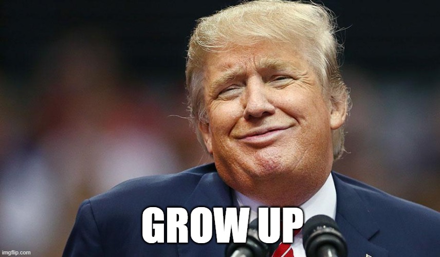 Donald Trump Grow Up | GROW UP | image tagged in donald trump grow up | made w/ Imgflip meme maker