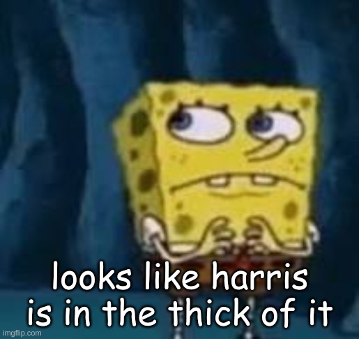 huh | looks like harris is in the thick of it | image tagged in huh | made w/ Imgflip meme maker