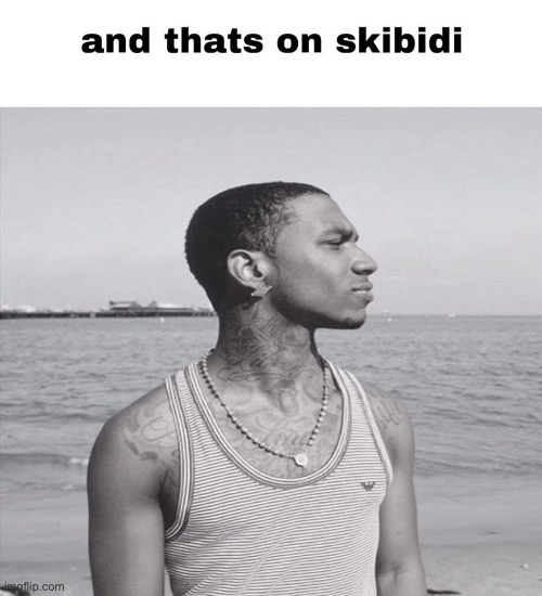 and that's on skibidi | image tagged in and that's on skibidi | made w/ Imgflip meme maker