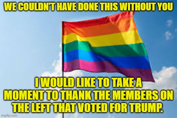 LGBTQ | WE COULDN'T HAVE DONE THIS WITHOUT YOU; I WOULD LIKE TO TAKE A MOMENT TO THANK THE MEMBERS ON THE LEFT THAT VOTED FOR TRUMP. | image tagged in crossdresser,transgender,conservative,maga,make america great again,common sense | made w/ Imgflip meme maker