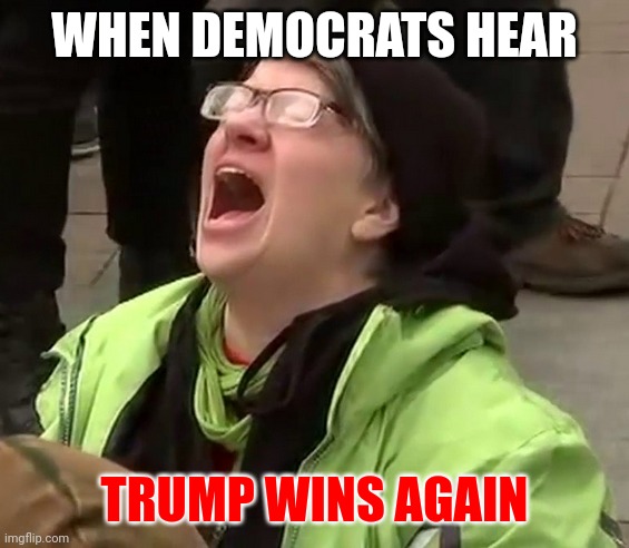 Trump Wins Again | WHEN DEMOCRATS HEAR; TRUMP WINS AGAIN | image tagged in crying liberal,funny memes | made w/ Imgflip meme maker