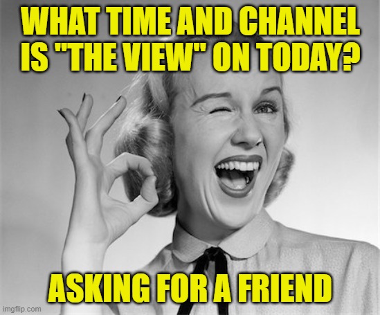 should be fun to watch | WHAT TIME AND CHANNEL IS "THE VIEW" ON TODAY? ASKING FOR A FRIEND | image tagged in woman winking | made w/ Imgflip meme maker