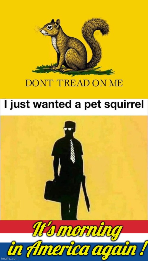 Squirrel flag | It's morning in America again ! | image tagged in peanut squirrel flag,memes,keep calm and carry on red,blank white template,slate blue solid color background | made w/ Imgflip meme maker