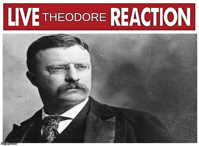 Live reaction | THEODORE | image tagged in live reaction | made w/ Imgflip meme maker
