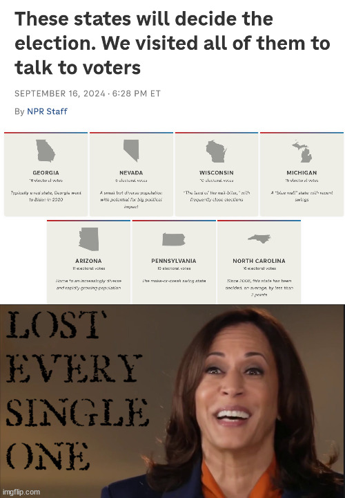 The Plan Was... | image tagged in swing states,election 2024,kamala harris,the biggest loser,genocide | made w/ Imgflip meme maker