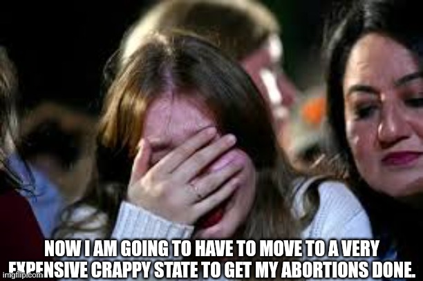 2024 election reaction | NOW I AM GOING TO HAVE TO MOVE TO A VERY EXPENSIVE CRAPPY STATE TO GET MY ABORTIONS DONE. | image tagged in 2024 election reaction | made w/ Imgflip meme maker