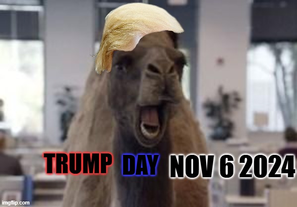 Hump Day Camel | TRUMP DAY NOV 6 2024 | image tagged in hump day camel | made w/ Imgflip meme maker