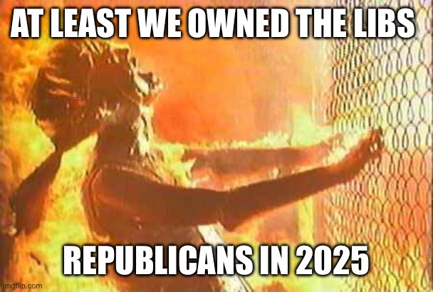 Terminator nuke | AT LEAST WE OWNED THE LIBS; REPUBLICANS IN 2025 | image tagged in terminator nuke | made w/ Imgflip meme maker