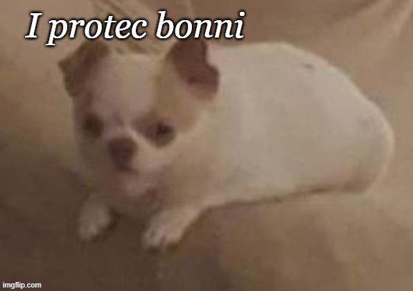 da potato dog | I protec bonni | image tagged in da potato dog | made w/ Imgflip meme maker