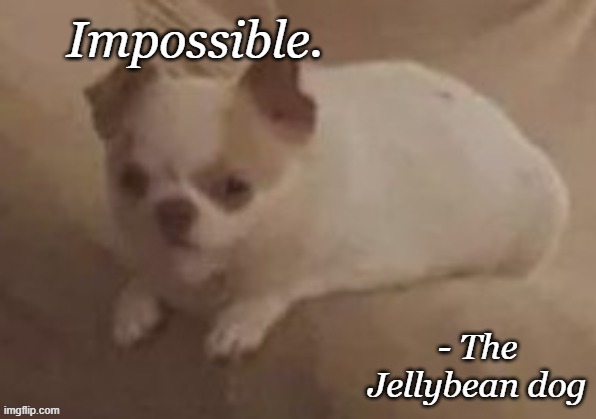 da potato dog | Impossible. - The Jellybean dog | image tagged in da potato dog | made w/ Imgflip meme maker