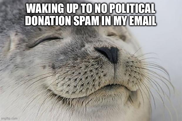 Satisfied Seal Meme | WAKING UP TO NO POLITICAL DONATION SPAM IN MY EMAIL | image tagged in memes,satisfied seal | made w/ Imgflip meme maker