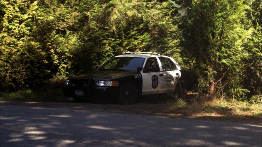 police car Blank Meme Template