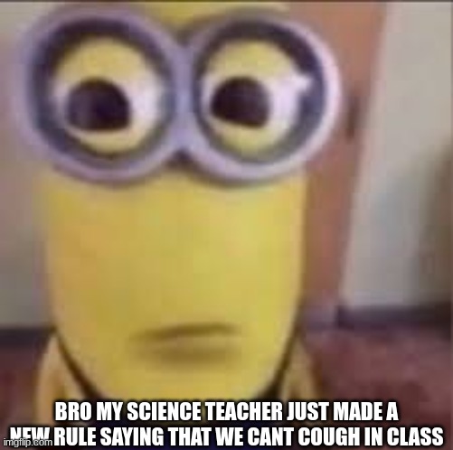 GOOFY AHH MINION | BRO MY SCIENCE TEACHER JUST MADE A NEW RULE SAYING THAT WE CANT COUGH IN CLASS | image tagged in goofy ahh minion | made w/ Imgflip meme maker