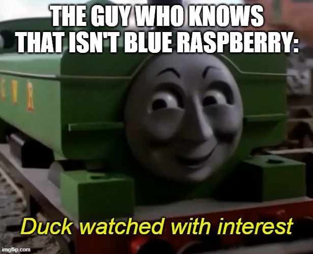 DUCK WATCHED WITH INTEREST | THE GUY WHO KNOWS THAT ISN'T BLUE RASPBERRY: | image tagged in duck watched with interest | made w/ Imgflip meme maker