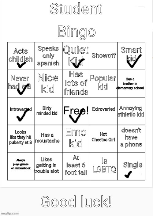 Student Bingo | image tagged in student bingo | made w/ Imgflip meme maker