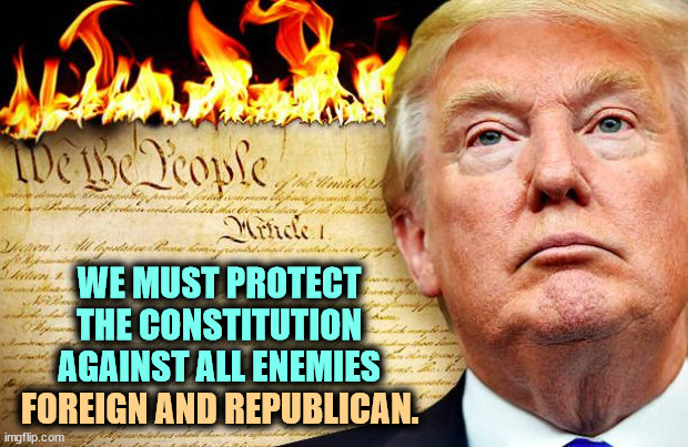 He wants to terminate the Constitution. That's what the man said. | WE MUST PROTECT THE CONSTITUTION AGAINST ALL ENEMIES; FOREIGN AND REPUBLICAN. | image tagged in trump burning the constitution which he has never read,trump,hate,constitution,founding fathers | made w/ Imgflip meme maker