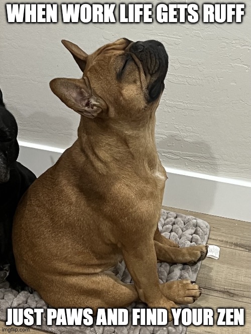 Ruff Life | WHEN WORK LIFE GETS RUFF; JUST PAWS AND FIND YOUR ZEN | image tagged in zen frenchie | made w/ Imgflip meme maker