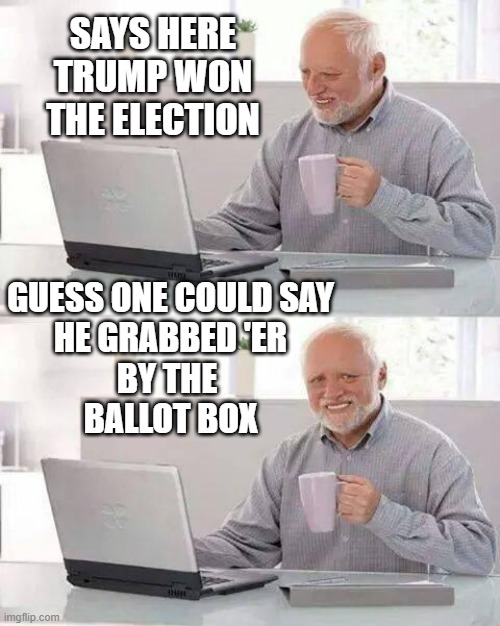 TRUMP GRABS the Election Victory | SAYS HERE
TRUMP WON
THE ELECTION; GUESS ONE COULD SAY
HE GRABBED 'ER
BY THE 
BALLOT BOX | image tagged in trump,hillary clinton for jail 2016,biden obama,billy,bush,kamala harris | made w/ Imgflip meme maker