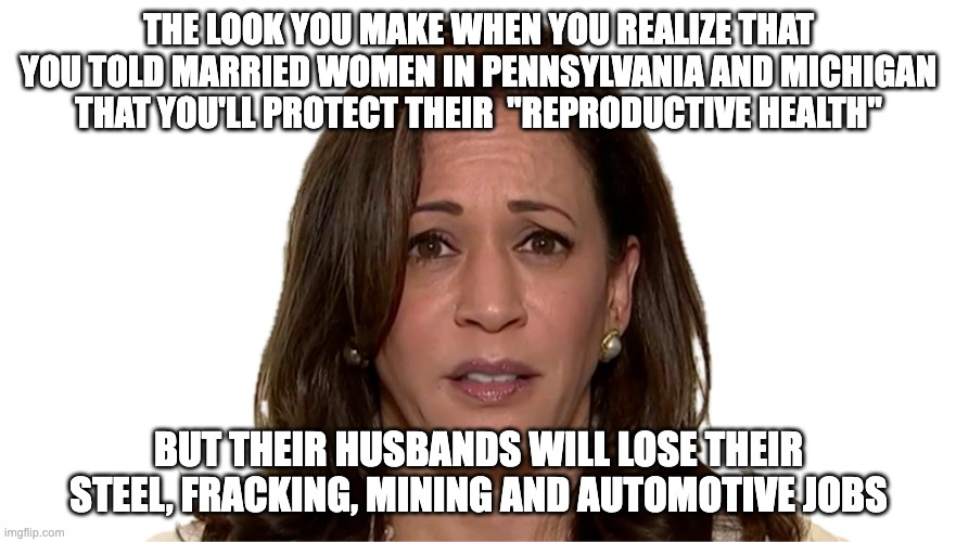 No Strategy - Just Attacks and Fear Mongering | THE LOOK YOU MAKE WHEN YOU REALIZE THAT YOU TOLD MARRIED WOMEN IN PENNSYLVANIA AND MICHIGAN THAT YOU'LL PROTECT THEIR  "REPRODUCTIVE HEALTH"; BUT THEIR HUSBANDS WILL LOSE THEIR STEEL, FRACKING, MINING AND AUTOMOTIVE JOBS | image tagged in kamala harris | made w/ Imgflip meme maker