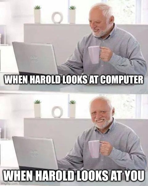 harold in a shellnut | WHEN HAROLD LOOKS AT COMPUTER; WHEN HAROLD LOOKS AT YOU | image tagged in memes,hide the pain harold | made w/ Imgflip meme maker