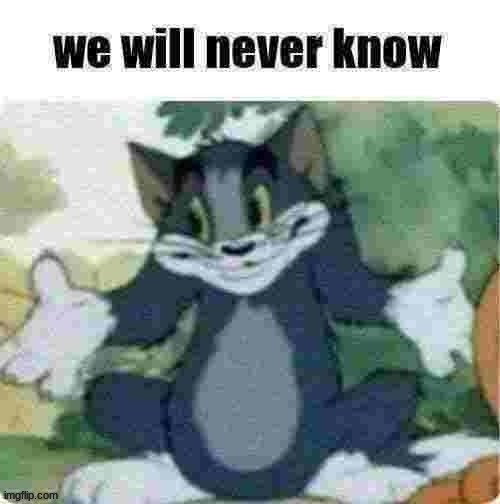 we will never know | image tagged in we will never know | made w/ Imgflip meme maker