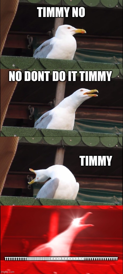 NO TIMMY | TIMMY NO; NO DONT DO IT TIMMY; TIMMY; TTTTTTTTTTTTIIIIIIIIIIIIIIIIIIIIIMMMMMMMMMMMMYYYYYYYYYYYYYYYYYY | image tagged in memes,inhaling seagull | made w/ Imgflip meme maker