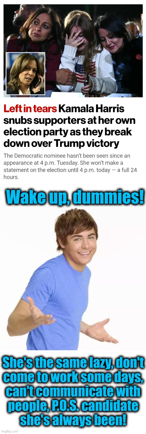 Wake up, dummies! She's the same lazy, don't
come to work some days,
can't communicate with
people, P.O.S. candidate
she's always been! | image tagged in zac efron shrug,memes,kamala harris,lazy,democrats,incompetence | made w/ Imgflip meme maker