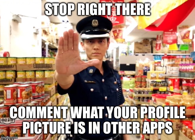 Stop right there | STOP RIGHT THERE; COMMENT WHAT YOUR PROFILE PICTURE IS IN OTHER APPS | image tagged in singapore police stop,msmg,pfp | made w/ Imgflip meme maker