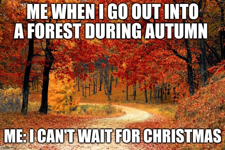 Road in Autumn | ME WHEN I GO OUT INTO A FOREST DURING AUTUMN; ME: I CAN'T WAIT FOR CHRISTMAS | image tagged in road in autumn | made w/ Imgflip meme maker