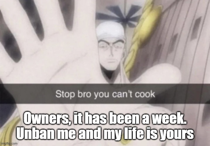 Stop bro you can't cook | Owners, it has been a week. Unban me and my life is yours | image tagged in stop bro you can't cook | made w/ Imgflip meme maker