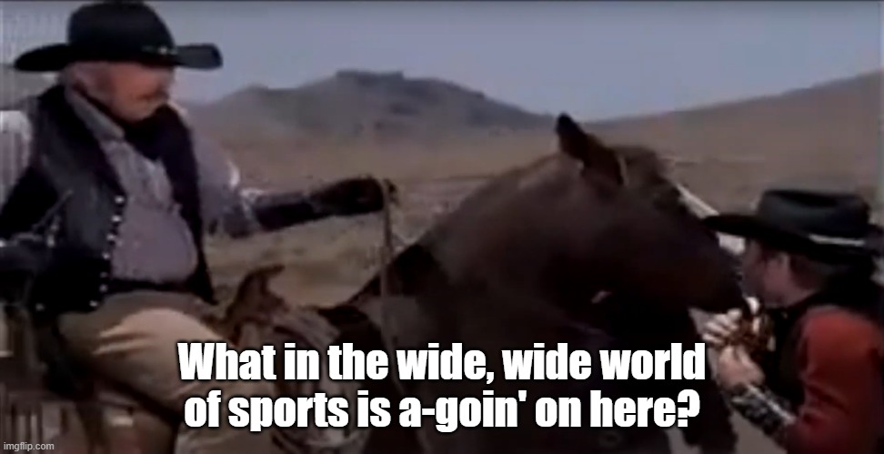 Blazing Saddles Taggart Lyle | What in the wide, wide world of sports is a-goin' on here? | image tagged in blazing saddles taggart lyle | made w/ Imgflip meme maker