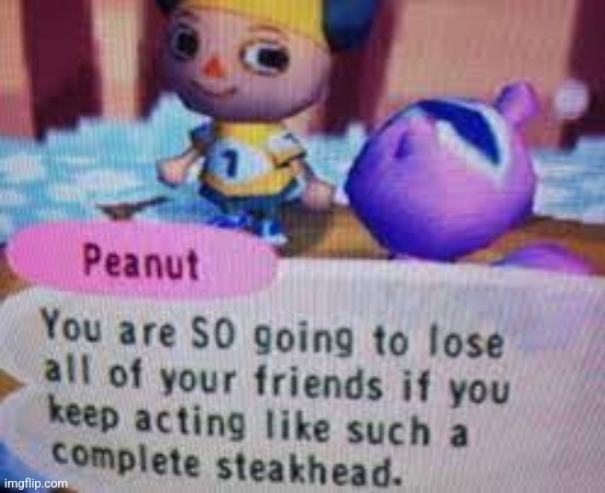 steakhead | image tagged in steakhead | made w/ Imgflip meme maker