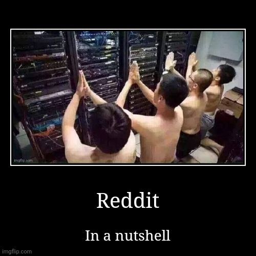 I'd say it's accurate... | Reddit | In a nutshell | image tagged in funny,demotivationals,reddit,servers | made w/ Imgflip demotivational maker