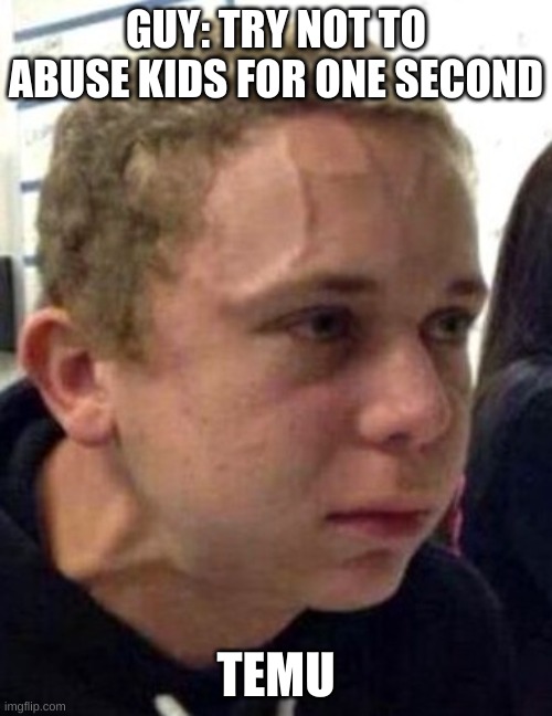 temu be like | GUY: TRY NOT TO ABUSE KIDS FOR ONE SECOND; TEMU | image tagged in neck vein guy | made w/ Imgflip meme maker