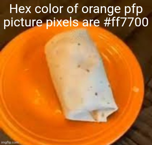 JimmyHere Burrito | Hex color of orange pfp picture pixels are #ff7700 | image tagged in jimmyhere burrito | made w/ Imgflip meme maker