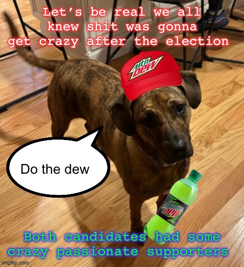 Do the dew | Let’s be real we all knew shit was gonna get crazy after the election; Both candidates had some crazy passionate supporters | image tagged in do the dew | made w/ Imgflip meme maker