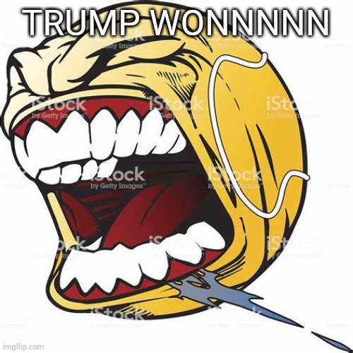 let's go ball | TRUMP WONNNNN | image tagged in let's go ball | made w/ Imgflip meme maker