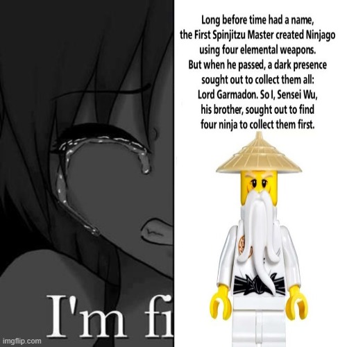 Im fine | image tagged in im fine | made w/ Imgflip meme maker