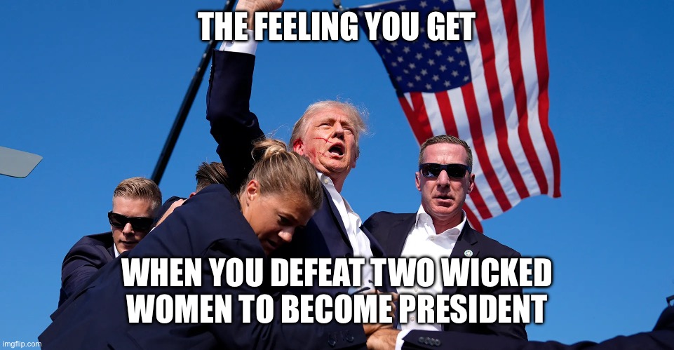 The Triumph of Trump | THE FEELING YOU GET; WHEN YOU DEFEAT TWO WICKED WOMEN TO BECOME PRESIDENT | image tagged in donald trump,2024 election,kamala harris,hillary clinton,presidential race,trump victory | made w/ Imgflip meme maker