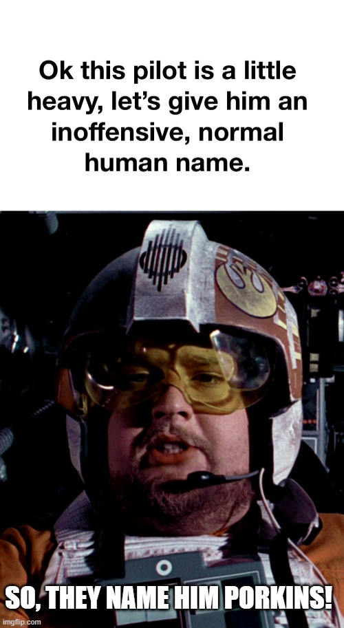 Porkins | SO, THEY NAME HIM PORKINS! | image tagged in porkins | made w/ Imgflip meme maker