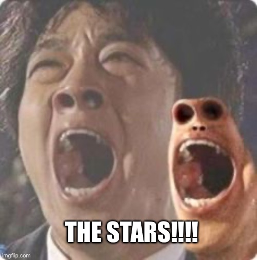 aaaaaaaaaaaaaaaaaaaaaaaaaaaaaaaaaaaaaaaaaaaaaaaaaa | THE STARS!!!! | image tagged in aaaaaaaaaaaaaaaaaaaaaaaaaaaaaaaaaaaaaaaaaaaaaaaaaa | made w/ Imgflip meme maker