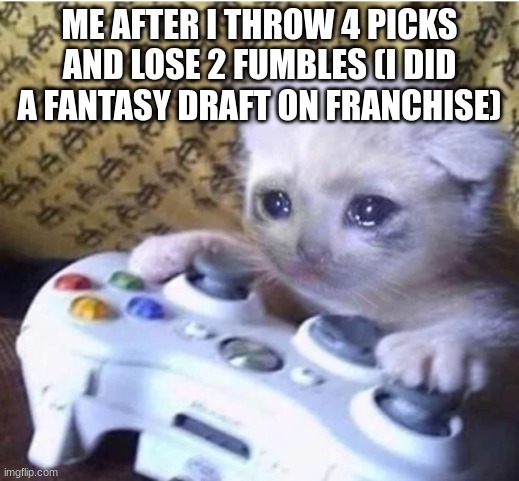 i quit madden because of it | ME AFTER I THROW 4 PICKS AND LOSE 2 FUMBLES (I DID A FANTASY DRAFT ON FRANCHISE) | image tagged in sad gaming cat,madden,madden 23 | made w/ Imgflip meme maker