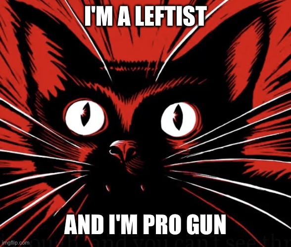 Yes it's true | I'M A LEFTIST; AND I'M PRO GUN | image tagged in sabo tabby cat | made w/ Imgflip meme maker