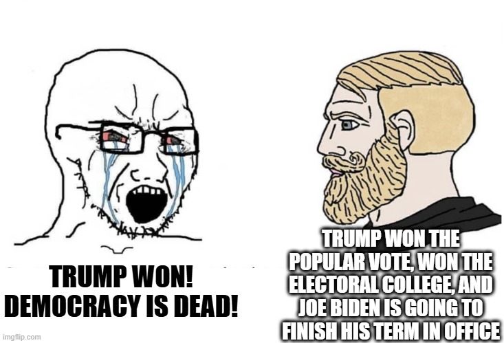 TDS Alive & Well | TRUMP WON THE POPULAR VOTE, WON THE ELECTORAL COLLEGE, AND JOE BIDEN IS GOING TO FINISH HIS TERM IN OFFICE; TRUMP WON! DEMOCRACY IS DEAD! | image tagged in soyboy vs yes chad | made w/ Imgflip meme maker