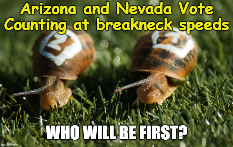 snails counting votes | Arizona and Nevada Vote Counting at breakneck speeds; WHO WILL BE FIRST? | image tagged in snails racing | made w/ Imgflip meme maker