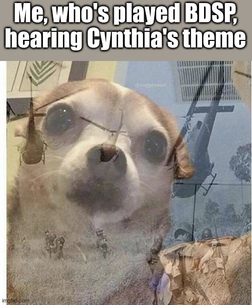 This is a lot of people's worse nightmare | Me, who's played BDSP, hearing Cynthia's theme | image tagged in ptsd chihuahua | made w/ Imgflip meme maker