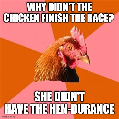 Why didn't the chicken finish the race | WHY DIDN'T THE CHICKEN FINISH THE RACE? SHE DIDN'T HAVE THE HEN-DURANCE | image tagged in memes,anti joke chicken,funny memes | made w/ Imgflip meme maker