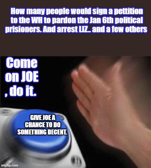 Do something right JOE, before you go.  We all get judged eventually. | How many people would sign a pettition to the WH to pardon the Jan 6th political prisioners. And arrest LIZ.. and a few others; Come on JOE , do it. GIVE JOE A CHANCE TO DO SOMETHING DECENT. | image tagged in memes,blank nut button | made w/ Imgflip meme maker