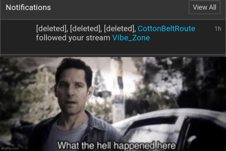 image tagged in what the hell happened here | made w/ Imgflip meme maker
