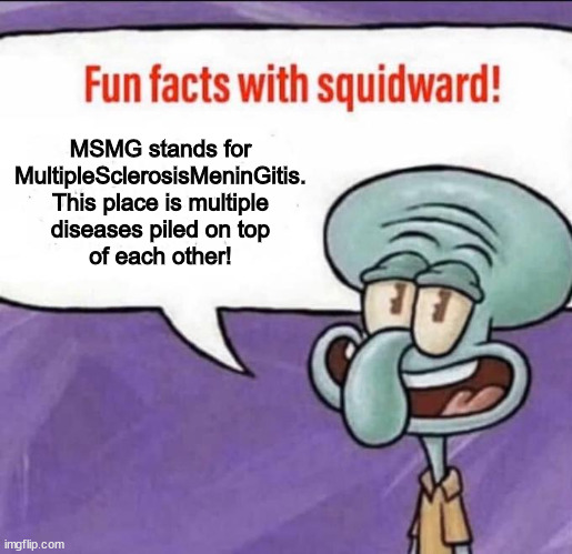 Fun Facts with Squidward | MSMG stands for
MultipleSclerosisMeninGitis.
This place is multiple
diseases piled on top
of each other! | image tagged in fun facts with squidward | made w/ Imgflip meme maker